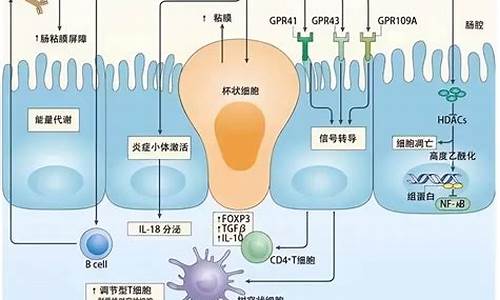 上皮生长因子凝胶价格_上皮细胞生长因子食物