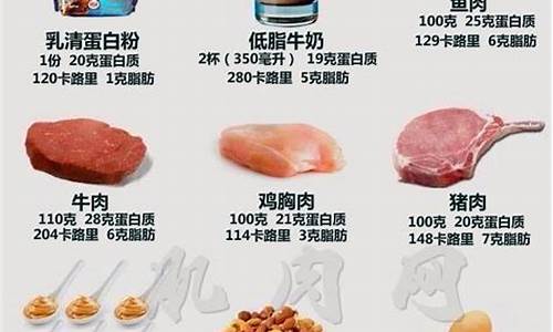 蛋白质含量高的食物_蛋白质含量高的食物排名表