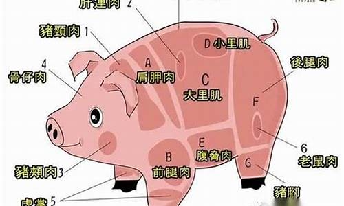 肉片汤用什么部位的肉_肉片汤用什么部位的肉最好